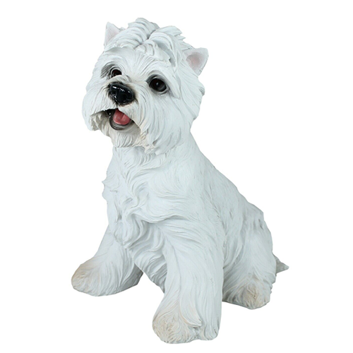 West Highland White Terrier