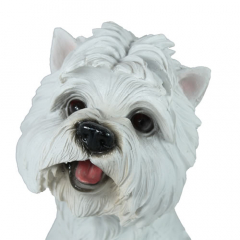 West Highland White Terrier