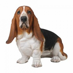 Basset