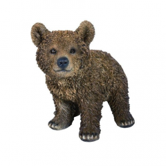 Braunbär